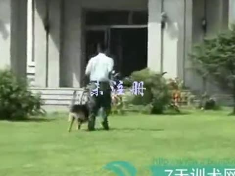 <em>训练狗奴</em>_老公变成狗!_沦落为奴的双胞胎姐妹