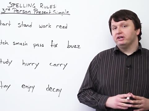 在英语中,第三人称复数用Have还是Has?