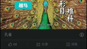 演示视频,点击查看