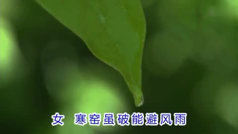 母亲的微笑合唱简谱